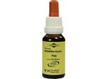 Fiori Di Bach Murnauer Pine Gocce 20 Ml