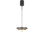 Lampada A Sospensione Led, Regolabile In Altezza, Dimmerabile, Cct, D 40 Cm
