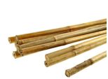 Euro NářAdí 145440 Tyč Bamboo PrůMěR 1 - 15 Cm DéLka 150 Cm