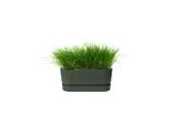 Elho Greenville Terrazza 80 Cm, Verde
