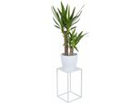 Howhomely Sgabello Per Piante In Metallo 40 Cm - Sgabello Per Fiori In Metallo Bianco - Supporto Per Fiori