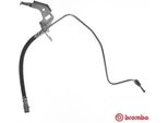 Brembo T 59 073 - Bremsschlauch Oe 13116134 Per Astra (A04), Astra G, Astra H, Astra G, Astra Combo, Combo Tour, Zafira A, Zafira B
