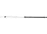 Monroe ML6254 - Ammortizzatore Del Cofano Oe 31298282 Per V40 (525, 526)