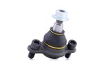 Monroe L29578 - Oe 7E0 407 361 Giunto Di Supporto Per T6, T5