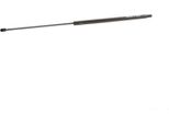Monroe ML5448 - Ammortizzatore Posteriore Oe 46810696 Per Doblo