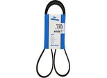 Dayco Cinghia Multirighe 6PK1360S