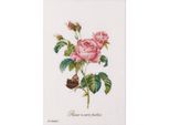 Kit Punto Croce Thea Gouverneur "Rose Redouté Evenweave"", 26X38Cm"