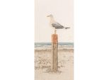 Thea Gouverneur Kit Punto Croce "Seagull Evenweave"", 33X65Cm"