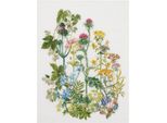 Thea Gouverneur Kit Punto Croce "Herb Panel Evenweave"", 35X46Cm"
