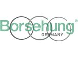 Fasce Elastiche Vw 1,9Tdi 79,50 Std
