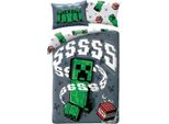 Halantex Lino Incluso Minecraft Creeper Grigio Cotone, 140/200, 70/90 Cm