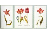 Thea Gouverneur Kit Punto Croce "Tulips Evenweave"", 84X42Cm"