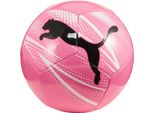 Palla Puma Attaccamento 08407305
