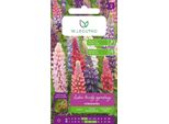 Semi Di Lupino Perenne Da Giardino Russel Mieszanka 2G - W.Legutko
