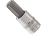 Punta Per Cacciavite ∙ V2279N ∙ Cava Quadrata Da 3/8 Di Pollice (10 Mm) ∙ Profilo Esagonale Interno ∙ Sw 10 Mm