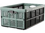 Bidone Multiuso In Plastica Nero, Verde 32L