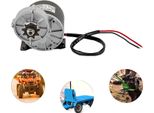 Motore Con Riduttore, Potenza 250W, Velocità 2750 Giri/Min, 12V, 0