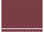 Vidaxl Tenda Da Sole Retrattile Rosso Bordeaux 350 X 250 Cm