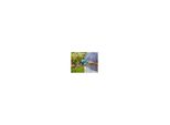 Gardena Akku-Gras-/Strauchschere Set Comfortcut Li (09888-20)