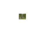 Gardena Akku-Gras-/Strauchschere Set Classiccut Li (09885-20)
