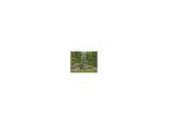 Gardena Akku-Grasschere Set Classiccut Li (09886-20)