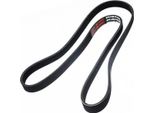 MASTER-SPORT 6PK1460-PCS-MS Cinghia A V, Cinghia Piatta Per Opel Vectra A Cc (J89)