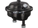 Febi Bilstein Cilindro Freno A Membrana 108781 Per Daf Cf 2,8 Kg
