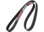 MASTER-SPORT 5PK925-PCS-MS Cinghia A V, Cinghia Piatta Per Fiat Tipo (160_)