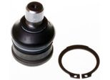 Denckermann Giunto Sferico Anteriore Per Ford Fiesta Mk6 Hatchback (JA8, JR8) D110124