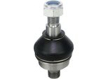 Denckermann Giunto Sferico Anteriore Adatto Per MERCEDES-BENZ Classe E Modello T (S210) D110089
