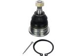 Denckermann Giunto Sferico Superiore Anteriore Per Nissan Pick Up (D22) D120034