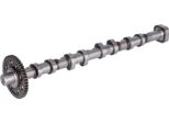 Febi Bilstein 178379 Albero A Camme Di Scarico Per Vw Golf Vi (5K1) Passat Variant (3C5) Passat Variant (365) Passat Limousine (3C2) Passat Cc (357) Cc