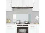 Vidaxl Alzatina Da Cucina Trasparente 100×50 Cm In Vetro Temperato