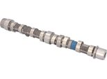 Febi Bilstein 183800 Albero A Camme Di Scarico Per Opel Corsa D Hatchback (S07) Astra J Sports Tourer (P10) Astra J Corsa E Hatchback (X15) Meriva B (S10)