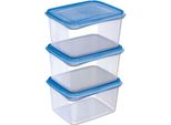 Sunware Box Freezer 1,5 Litri Set Di 3 Pezzi Transp/Blu