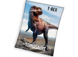 Coperta Per Bambini T-Rex Predator 130X170 Cm