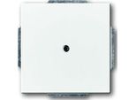 Busch-Jaeger Piastra Centrale Cieca Con Anello Di Supporto 2CKA001710A3161 1742-84