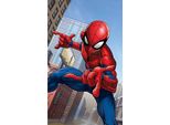 Jerry Fabrics Asciugamano Per Bambini Spiderman Cotone - Terry, 50/30 Cm