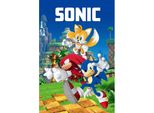 Sonic The Hedgehog Coperta In Pile Copriletto Coperta Accogliente Sonic Knuckels Miles Prower Videogioco 100 X 150 Cm 100% Poliestere
