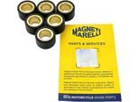 Peso Del Variatore Magneti Marelli 16 X 13 8,0 G