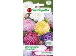 Semi Di Aster Cinese Peonia Misto, 1,25 G