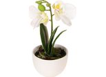 Mini Orchidee Phalaenopsis Fiori Artificiali In Vaso Decorativo Di Ceramica