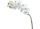 Ramo Di Orchidea Artificiale Phalaenopsis Decorazione Decorazione Floreale