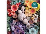 Galison Puzzle Quadrato Funghi In Fiore 500 Pezzi