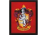 Harry Potter - Stemma Colorato Grifondoro - Immagine 3D