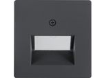 Piastra Centrale Berker Uae/Iae Q.1/Q.3 Velluto Antracite