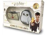 Lampada Groovy Edvige E Lettera Hogwarts Harry Potter Oro Taglia Unica