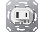 Gira Usb Alimentatore 2F Tipo A/C Inserto Ws 234900 (234900)