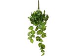 Pianta Decorativa Mica Decorazioni Potos 14 X 58 X 20 Cm Collare