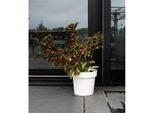 Vaso Da Fiori Autoinnaffiante Garden Id Bianco